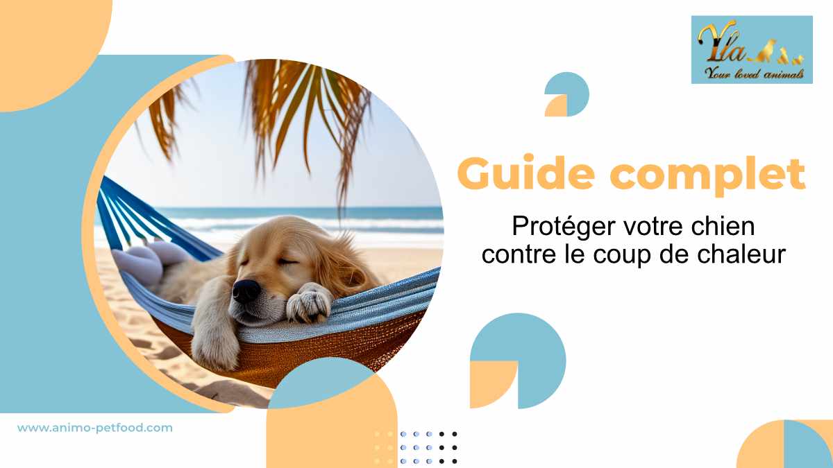 guide-complet-proteger-votre-chien-contre-le-coup-de-chaleur